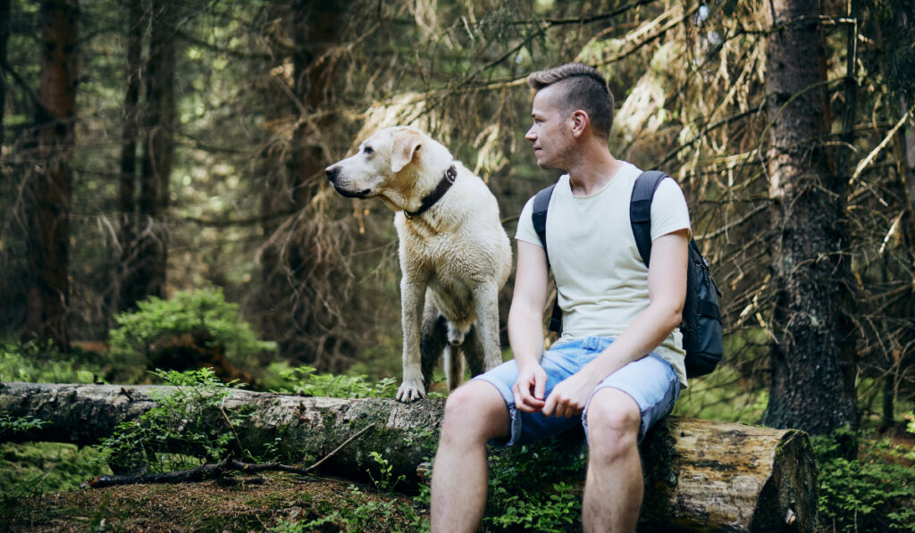 Man and his dog sitting on a log in a forest